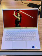 Dell Inspiron 5402 - Open Display View